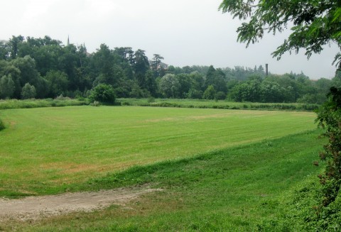 Brykiet opałowy z podlaskiej trawy