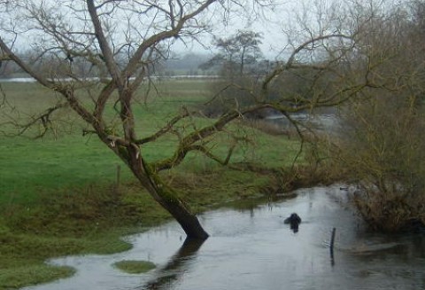 Wsie pod Garwolinem zostały podtopione