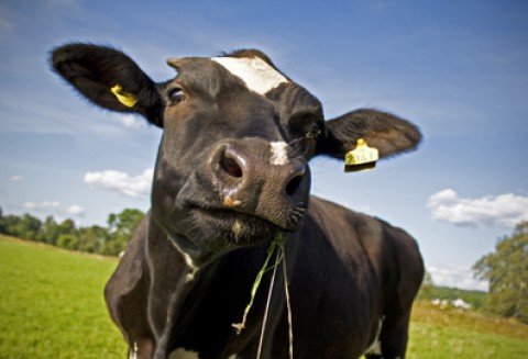 Spotkanie z branżą mięsną