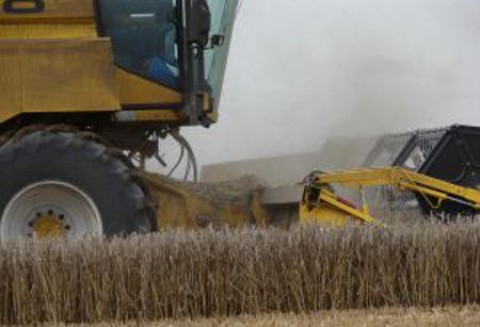 Realizacja działań objętych Krajowym Programem Restrukturyzacji