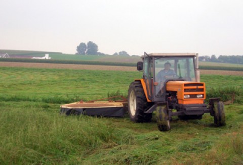 Seminarium w Tarcach