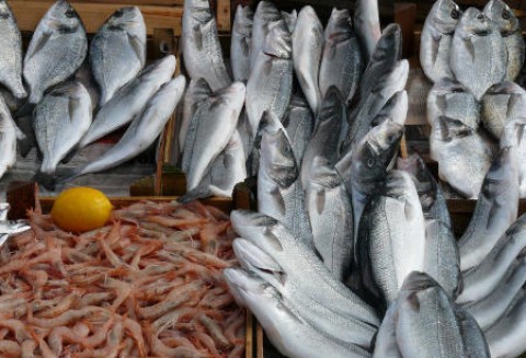 Posiedzenie Rady Ministrów ds. Rolnictwa i Rybołówstwa w Brukseli
