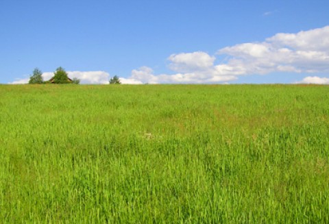 IV edycja konkursu „Polska wieś - dziedzictwo i przyszłość”