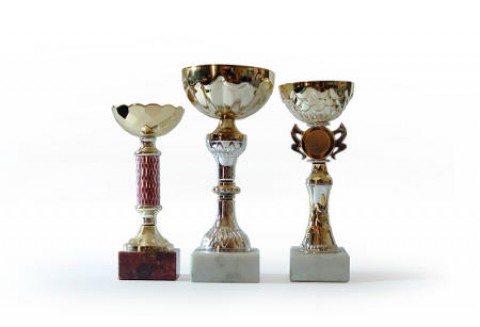 Nagroda dla Barbary Fedyszak-Radziejowskiej