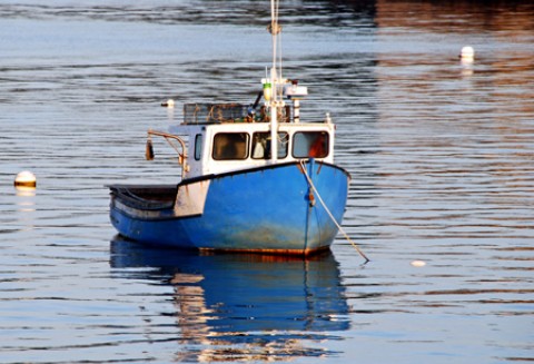 Komisja Europejska rozpoczęła konsultacje w sprawie zobowiązania transportu morskiego do redukcji emisji