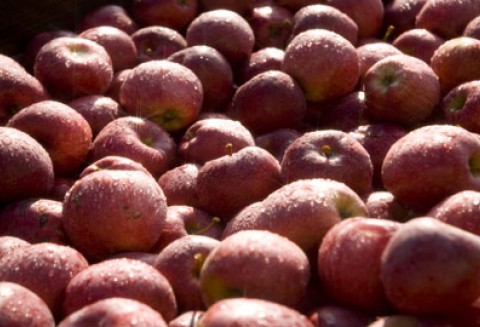 Działania promocyjne źródłem sukcesów w eksporcie