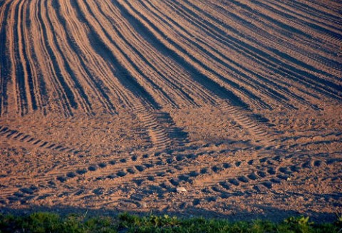 ANR zarobiła 245 mln zł za tereny inwestycyjne w 2011 r.