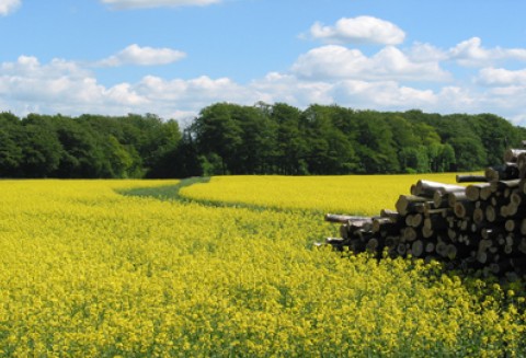Aktualne możliwości powiększenia i tworzenia gospodarstw rolnych
