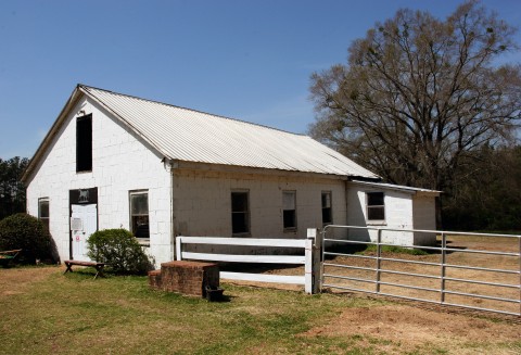 Wrocławscy naukowcy wynaleźli środek, który ma niwelować przykre zapach z chlewni lub obory