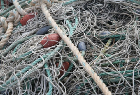 Spotkanie Dyrektorów Generalnych ds. Rybołówstwa