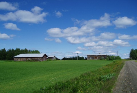 Wzmacniać aktywność małych gmin