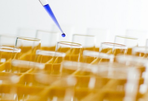 100.lecie Instytutu Biotechnologii Przemysłu Rolno-Spożywczego