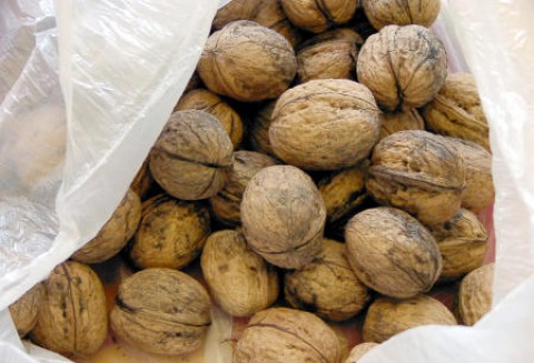 Płatne reklamówki lub torby wielokrotnego użytku