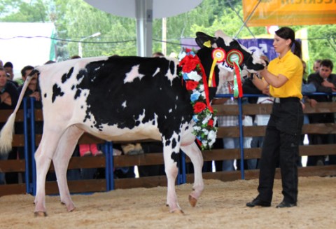 XVIII Regionalna Wystawa Zwierząt Hodowlanych i Dni z Doradztwem Rolniczym w Szepietowie już za nami
