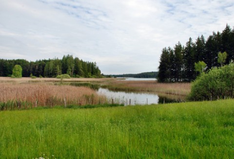 Spotkanie na temat odbudowy melioracji i rozwoju retencji