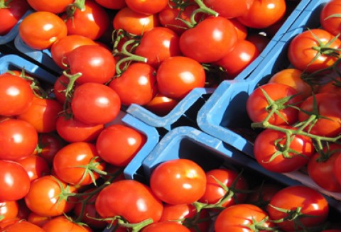 Komunikat w sprawie eksportu warzyw do Rosji