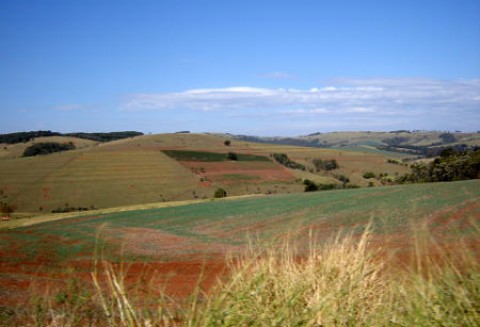 Szkolenia nt. budowy sieciowego produktu turystyki wiejskiej - relacja