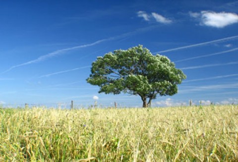 Branża biopaliwowa postuluje o zmianę polityki akcyzowej względem producentów etanolu