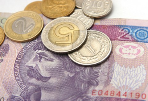 Lokalne Grupy Działania przyjmują wnioski o wsparcie inwestycji z PROW 2007-2013. W Polsce działa 336 takich grup.