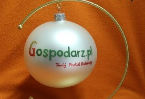 Tak troszeczkę świątecznie...