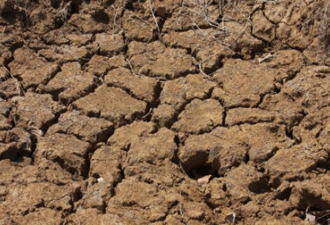 Zagrożenie suszą w Europie?