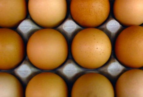 Notatka służbowa Głównego Lekarza Weterynarii dotycząca działań podjętych w związku z wykryciem nielegalnej produkcji suszu jajecznego