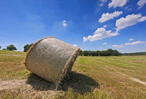 Europejski Kongres Gmin Wiejskich