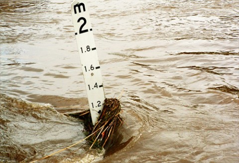 Ruszyła fala wypłat