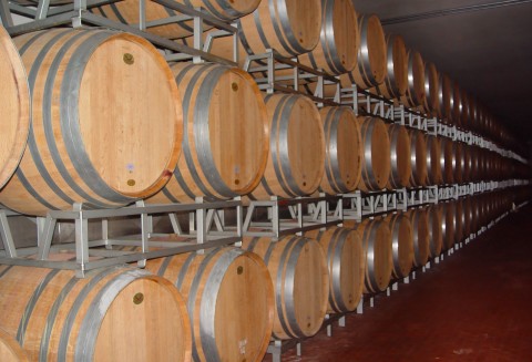 Informacja dla producentów i przedsiębiorców wyrabiających wino z winogron pochodzących z upraw winorośli położonych na terytorium Polski