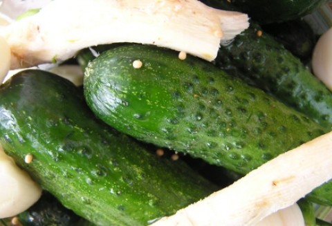 Zatrute hiszpańskie ogórki