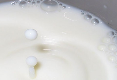 Spotkanie z przedstawicielami branży mleczarskiej