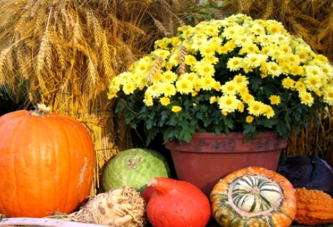 Warzywa nadal są drogie