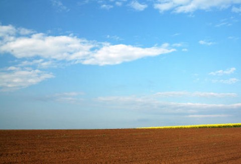 Czy Polsce zagraża spadek żyzności gleb?