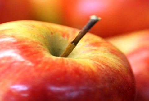 Piknik z programem Poznaj Dobrą Żywność