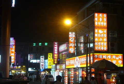 Korea Południowa – Wzrasta liczba zachorowań na pryszczycę