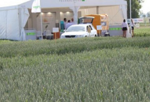 Notowania zbóż na giełdach światowych 29.05.2012