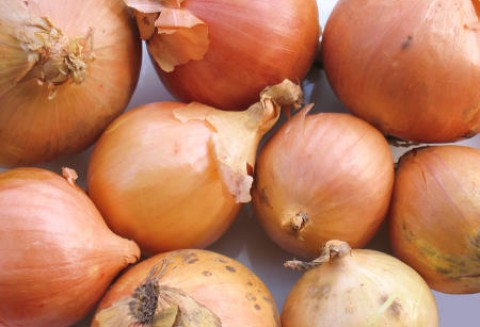 Senegal – Obfite zbiory cebuli