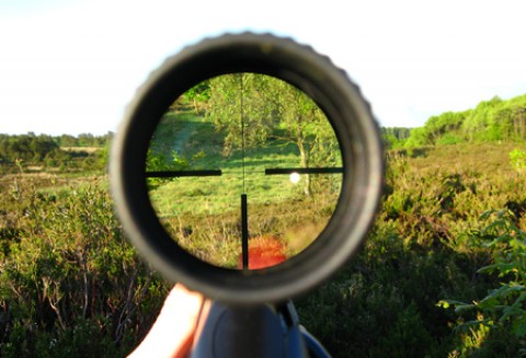 Lubuska gospodarka łowiecka a rolnictwo