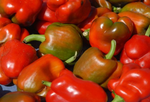 Rosja – kontynuacja Forum Przedsiębiorców Branży Rolno-Spożywczej w Polsce i misja gospodarcza do Moskwy we wrześniu br.