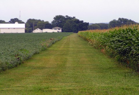 Udostępnianie wykazu producentów w rolnictwie ekologicznym