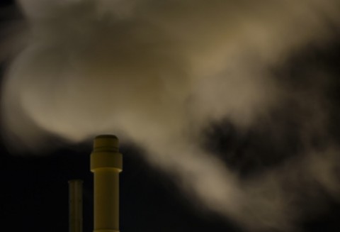 Emisja CO2 na skutek ekspansji palmy olejowej większa niż zakładano