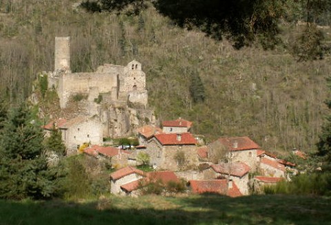 KIB partnerem Krajowej Sieci Obszarów Wiejskich