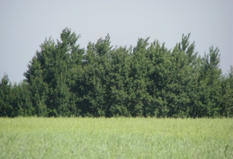 Preferencje na zakup ziemi dla rolników