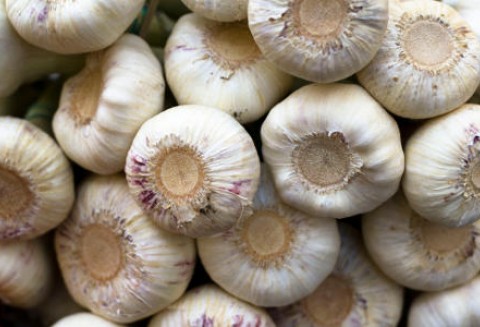 Kwiecień przyniósł podwyżkę ceny czosnku