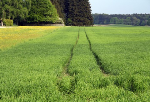 Kolejna edycja konkursu AgroLiga