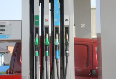 Angielscy farmerzy niezadowoleni z brytyjskiej polityki biopaliwowej