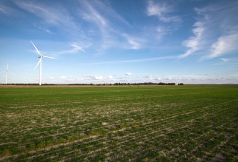 Wizyty delegacji Republiki Baszkortostanu