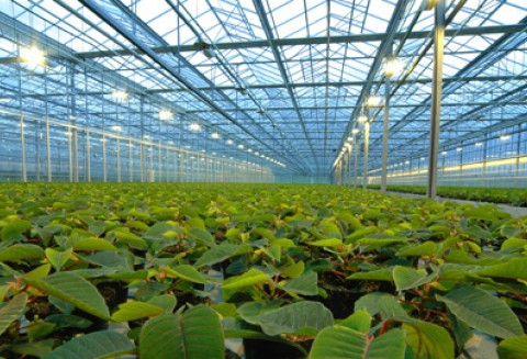 Spotkanie ogrodników w Gołuchowie