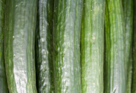 Konferencja prasowa Piotra Walkowskiego