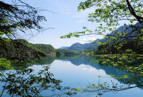 Aktywność ministra na rzecz reformy WPR